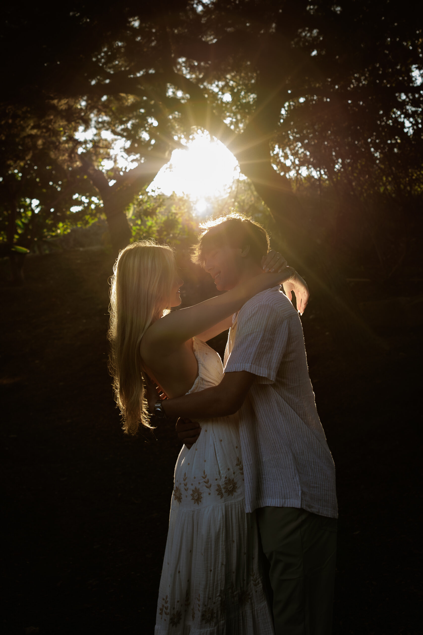 A couple kissing beneath a tree as the setting sun bursts through the branches, from a couples session.